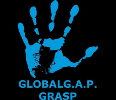 GRASP certification